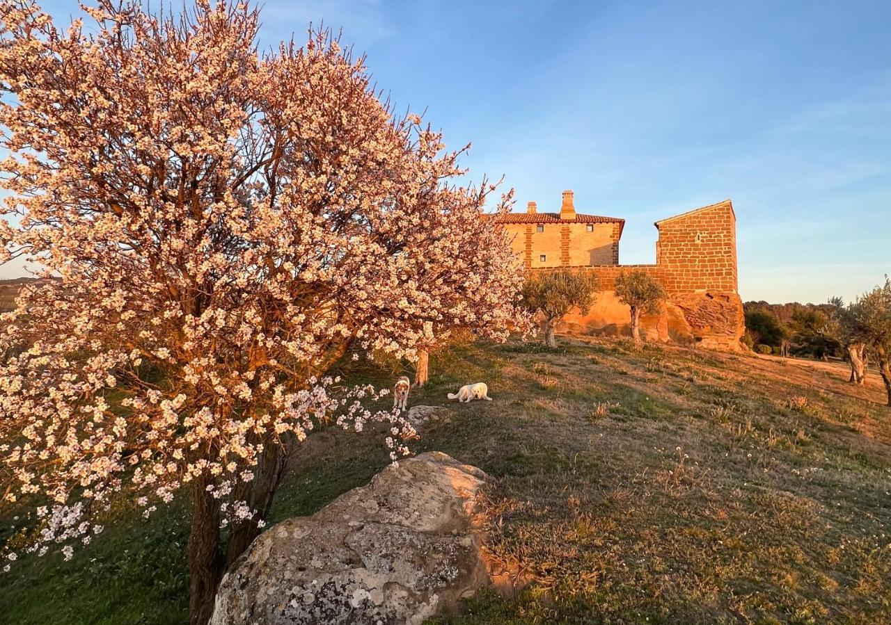 הואסקה Castillo De Corvinos מראה חיצוני תמונה